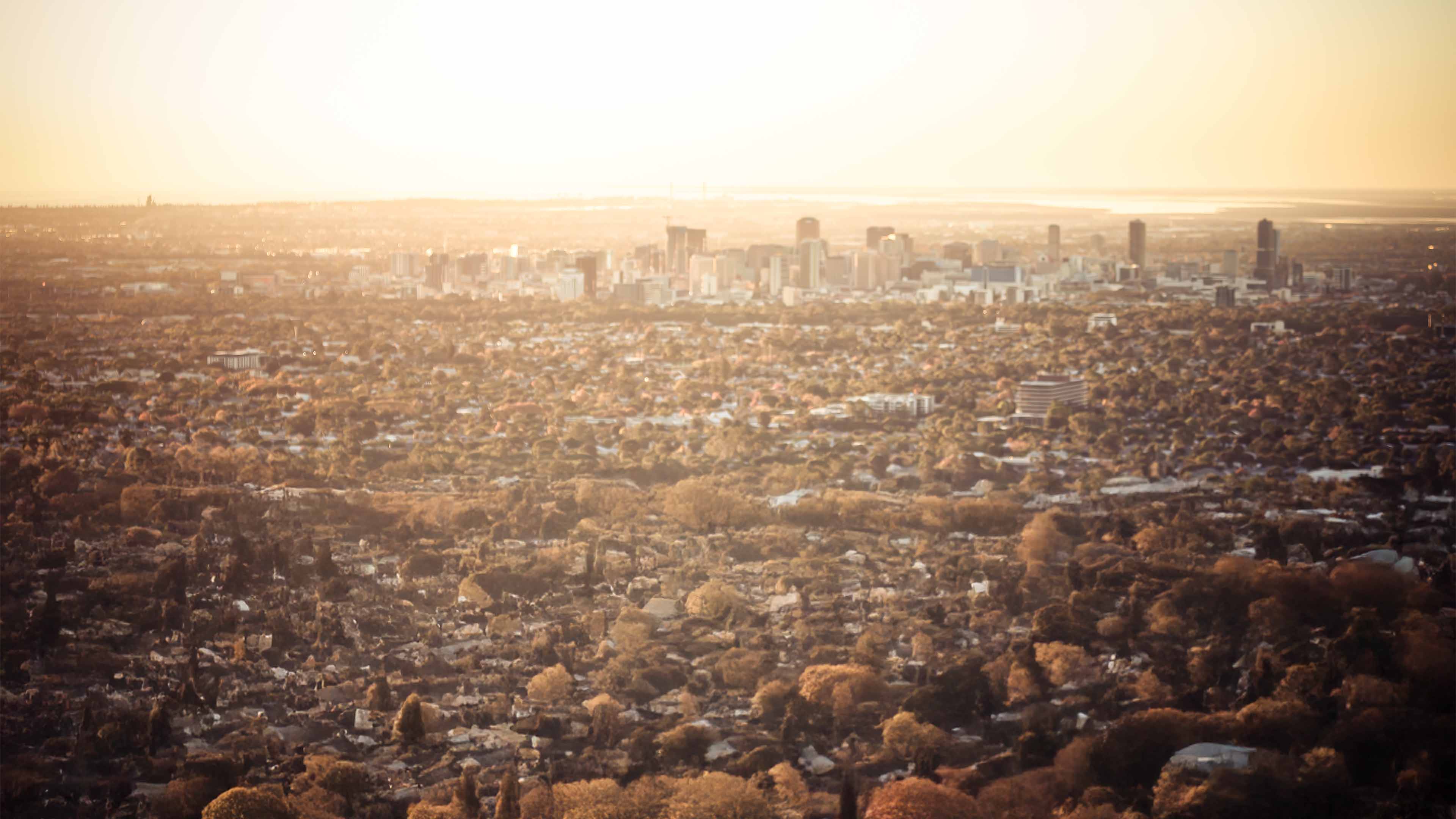 Adelaide city background