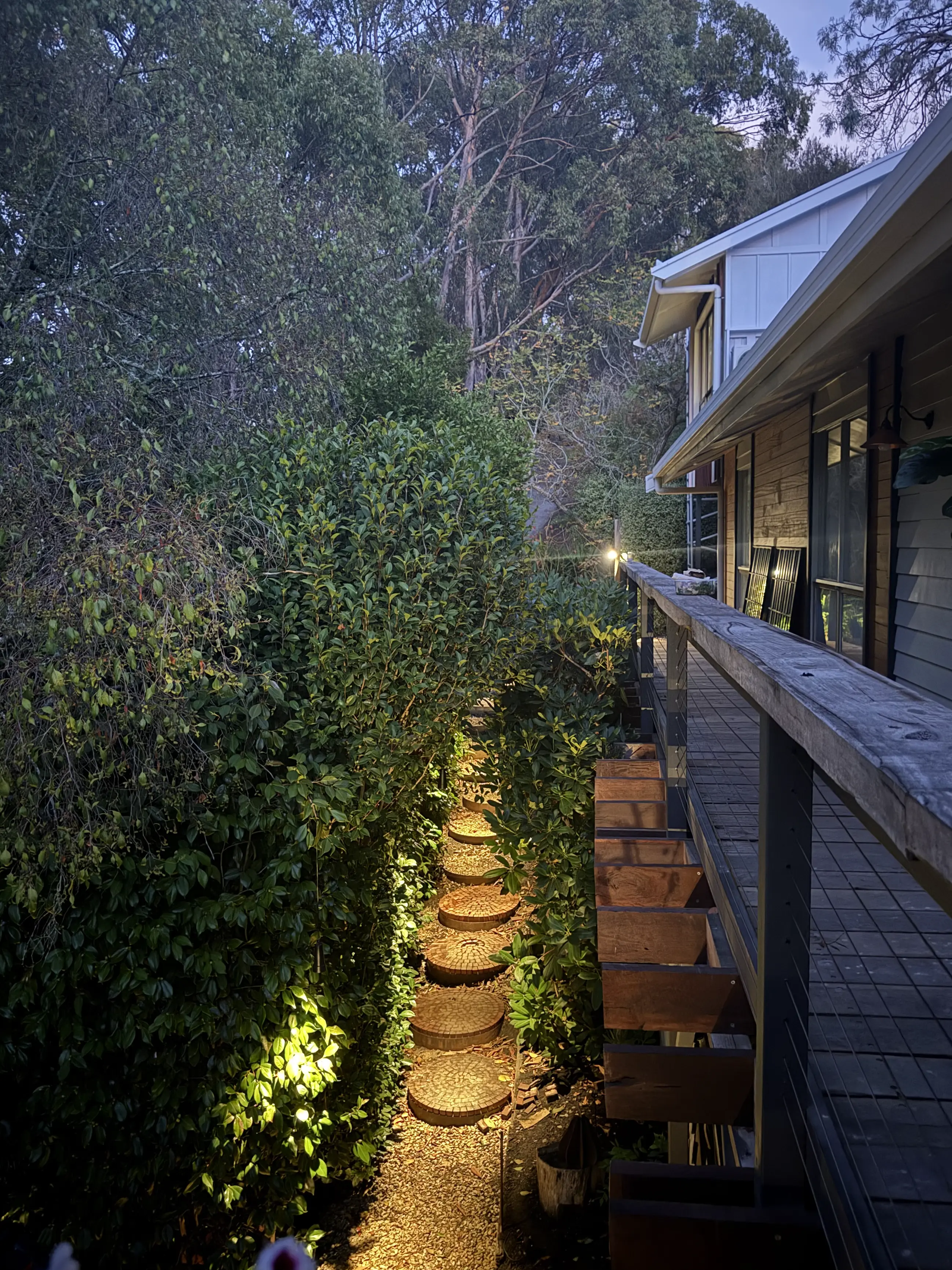 Timber steps lit at dusk through hedges